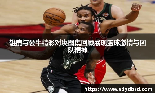 雄鹿与公牛精彩对决图集回顾展现篮球激情与团队精神